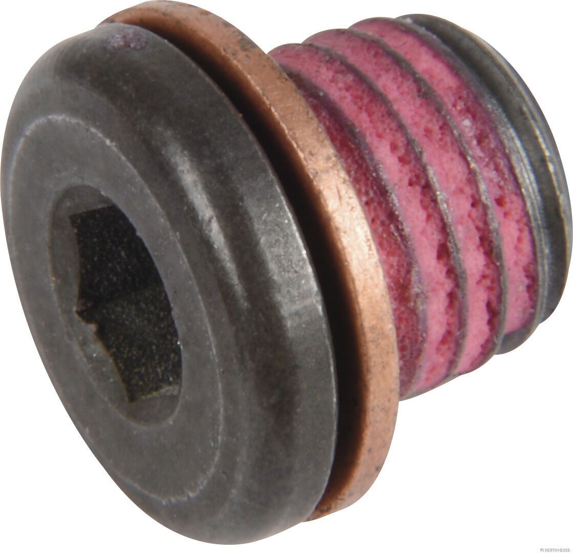 Varžtas, automatinės pavarų dėžės alyvos karteris HERTH+BUSS ELPARTS 50240022