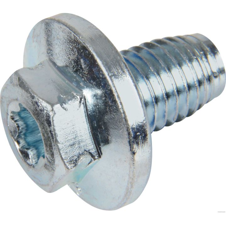 Alyvos išleidimo kaištis, alyvos karteris HERTH+BUSS ELPARTS 50240023