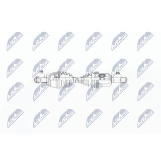 Pusašis NTY NPW-AR-006