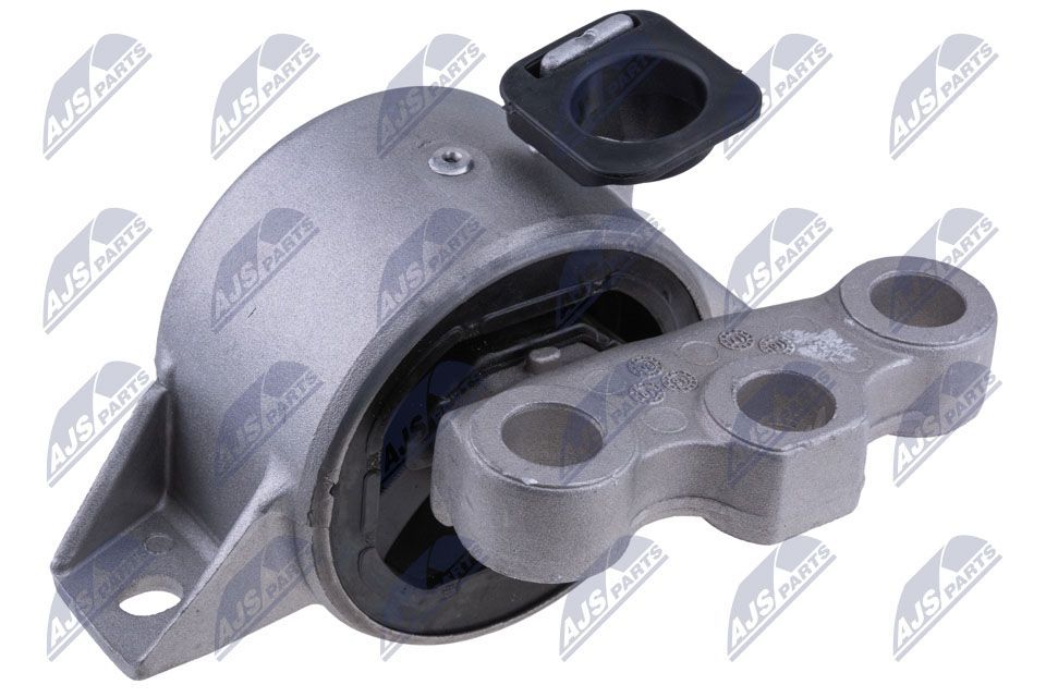 Variklio montavimas NTY ZPS-FT-008