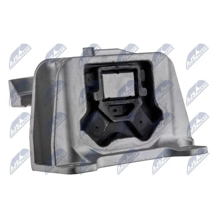 Variklio montavimas NTY ZPS-RE-109