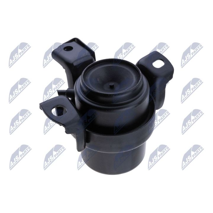 Variklio montavimas NTY ZPS-TY-076