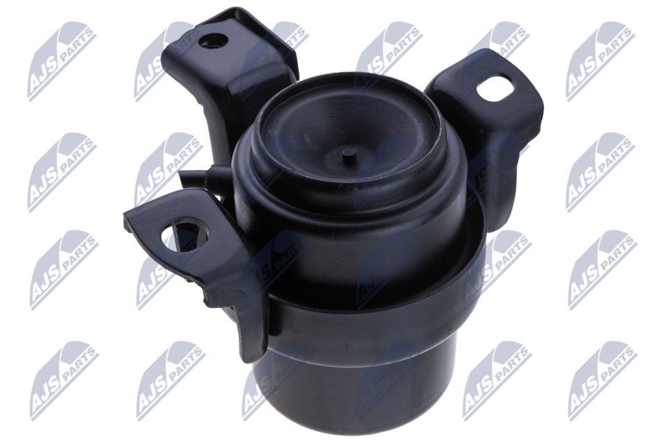 Variklio montavimas NTY ZPS-TY-076