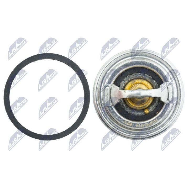 Termostatas, aušinimo skystis NTY CTM-PE-014