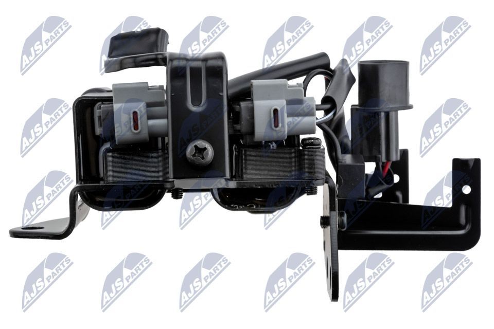 Ritė, uždegimas NTY ECZ-HY-534