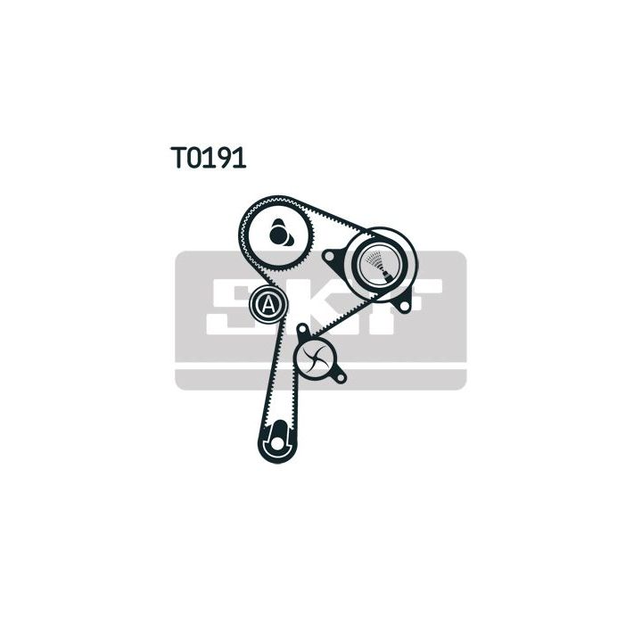 Vandens siurblio ir paskirstymo diržo komplektas SKF VKMC 06134-2