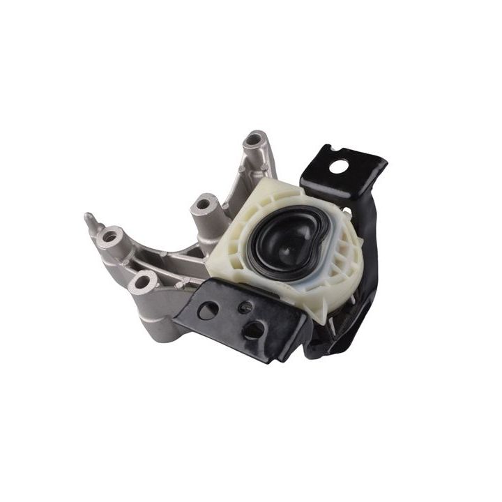 Variklio montavimas TEDGUM TED74287