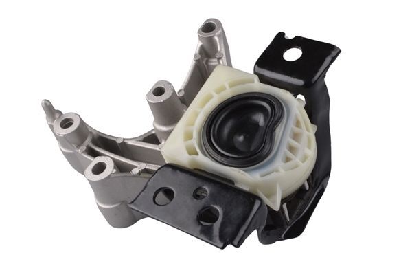 Variklio montavimas TEDGUM TED74287