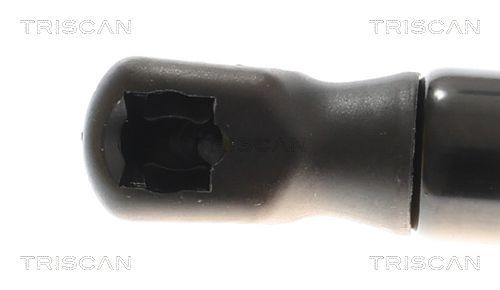 Dujinė spyruoklė, bagažinė TRISCAN 8710 16310