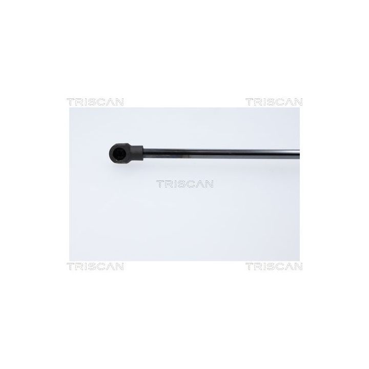 Dujinė spyruoklė, bagažinė TRISCAN 8710 18247