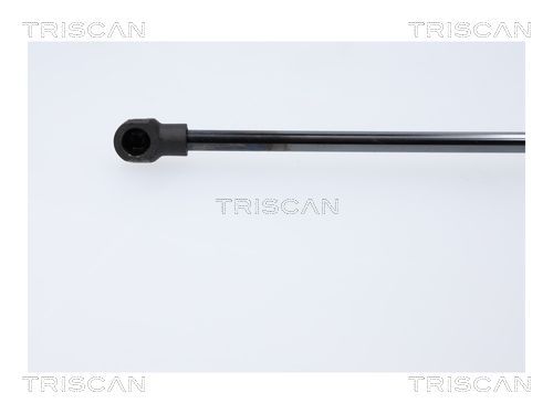 Dujinė spyruoklė, bagažinė TRISCAN 8710 18247