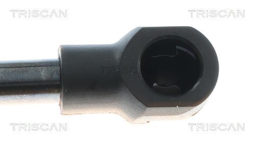 Dujinė spyruoklė, bagažinė TRISCAN 8710 43306