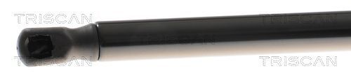 Dujinė spyruoklė, bagažinė TRISCAN 8710 43307