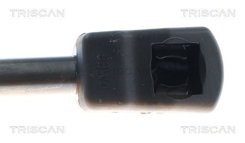 Dujinė spyruoklė, bagažinė TRISCAN 8710 43307