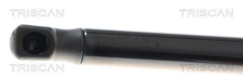 Dujinė spyruoklė, bagažinė TRISCAN 8710 43308