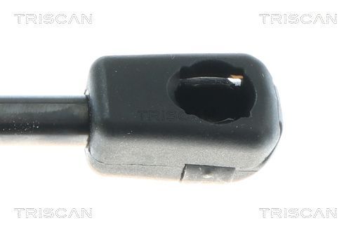 Dujinė spyruoklė, bagažinė TRISCAN 8710 43308