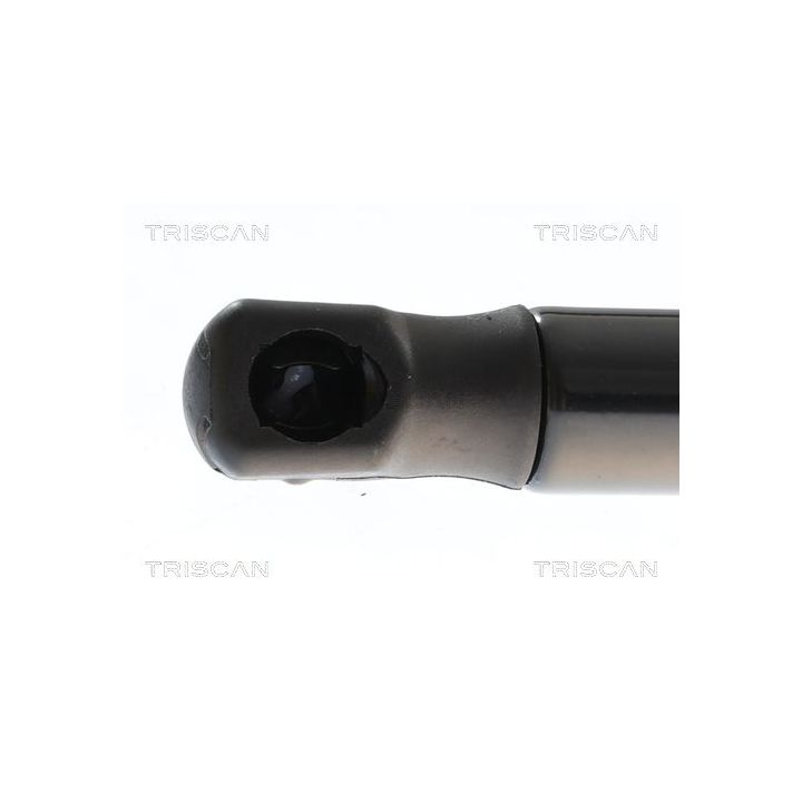 Dujinė spyruoklė, bagažinė TRISCAN 8710 43309