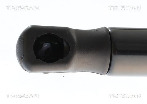 Dujinė spyruoklė, bagažinė TRISCAN 8710 43309