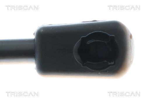 Dujinė spyruoklė, bagažinė TRISCAN 8710 43309