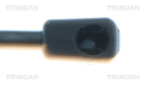 Dujinė spyruoklė, bagažinė TRISCAN 8710 43310