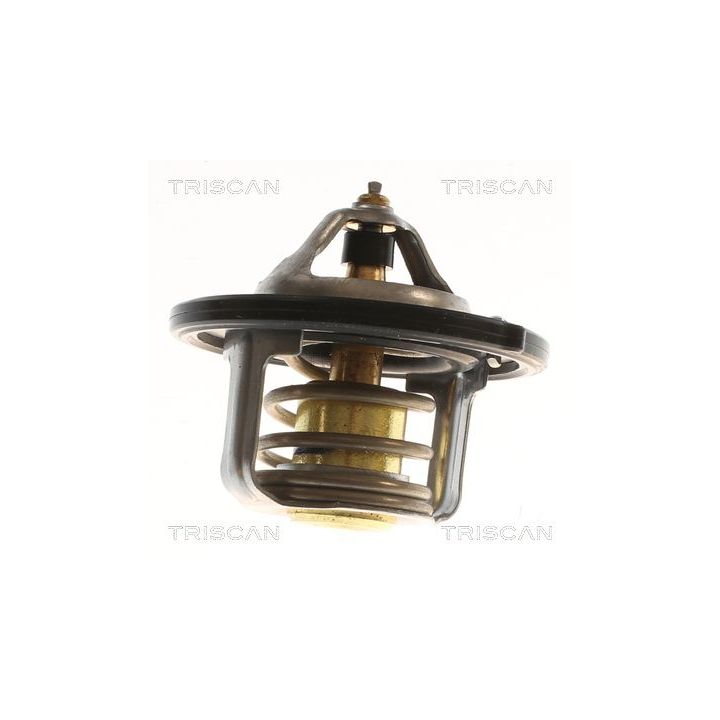 Termostatas, aušinimo skystis TRISCAN 8620 55888