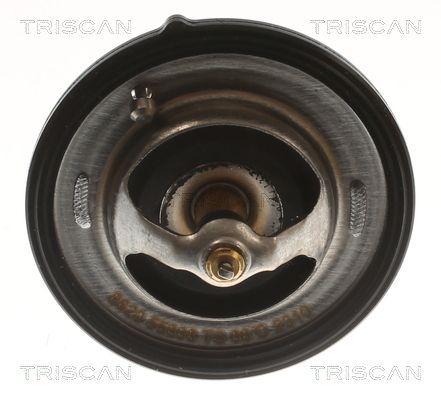 Termostatas, aušinimo skystis TRISCAN 8620 55888