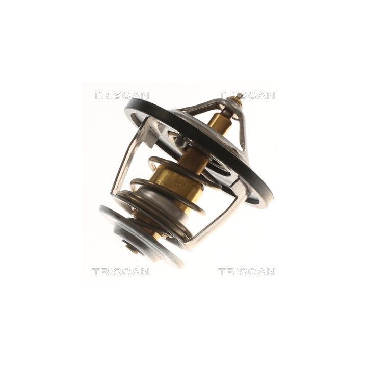 Termostatas, aušinimo skystis TRISCAN 8620 55982