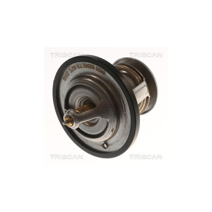 Termostatas, aušinimo skystis TRISCAN 8620 55982