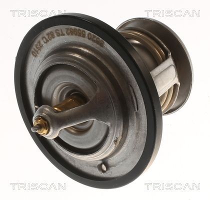 Termostatas, aušinimo skystis TRISCAN 8620 55982