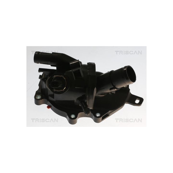 Termostatas, aušinimo skystis TRISCAN 8620 55898