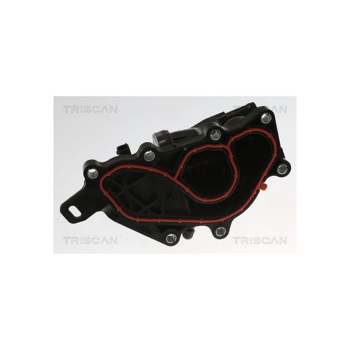 Termostatas, aušinimo skystis TRISCAN 8620 55898