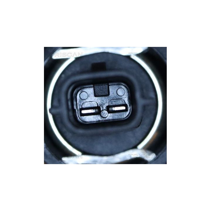 Termostatas, aušinimo skystis TRISCAN 8620 55998