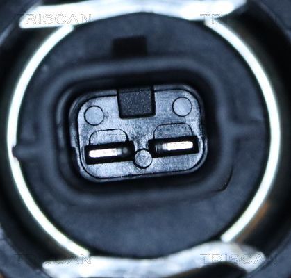 Termostatas, aušinimo skystis TRISCAN 8620 55998