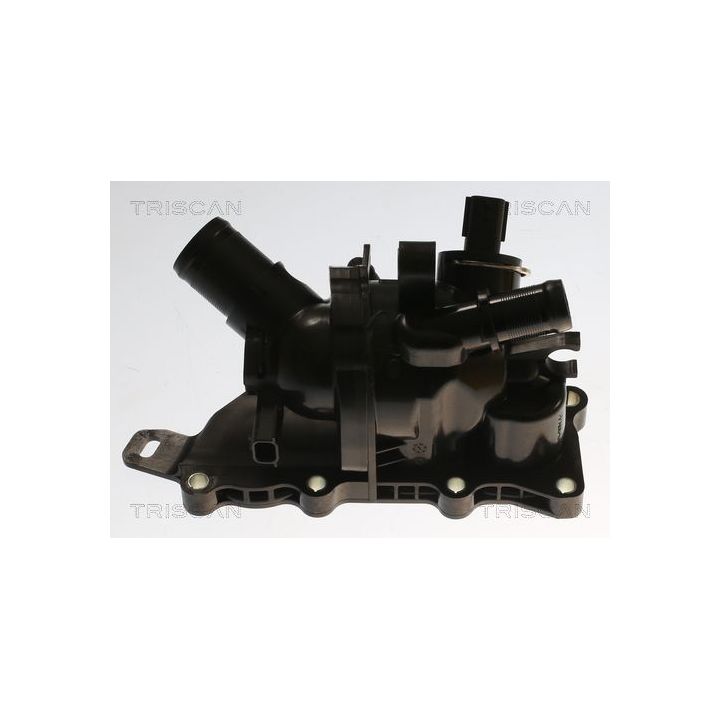 Termostatas, aušinimo skystis TRISCAN 8620 55998