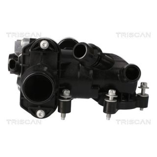 Termostatas, aušinimo skystis TRISCAN 8620 60094