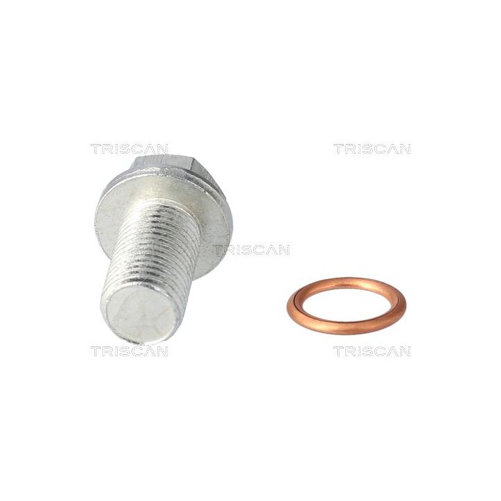 Alyvos išleidimo kaištis, alyvos karteris TRISCAN 9500 1025
