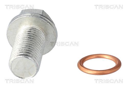 Alyvos išleidimo kaištis, alyvos karteris TRISCAN 9500 1025