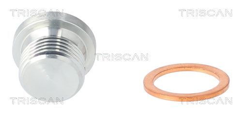 Alyvos išleidimo kaištis, alyvos karteris TRISCAN 9500 1106