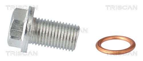 Alyvos išleidimo kaištis, alyvos karteris TRISCAN 9500 1025