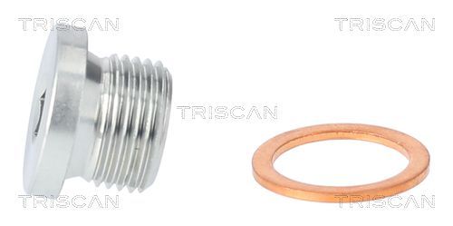 Alyvos išleidimo kaištis, alyvos karteris TRISCAN 9500 1106