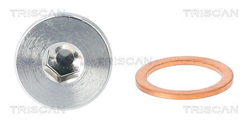 Alyvos išleidimo kaištis, alyvos karteris TRISCAN 9500 1106