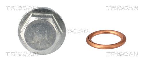Alyvos išleidimo kaištis, alyvos karteris TRISCAN 9500 1025