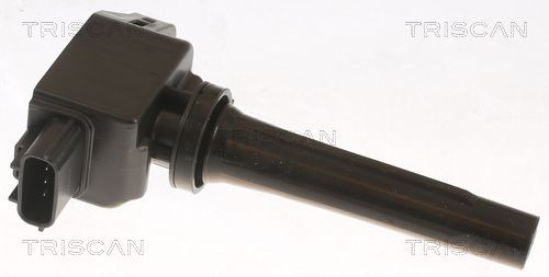 Ritė, uždegimas TRISCAN 8860 50029