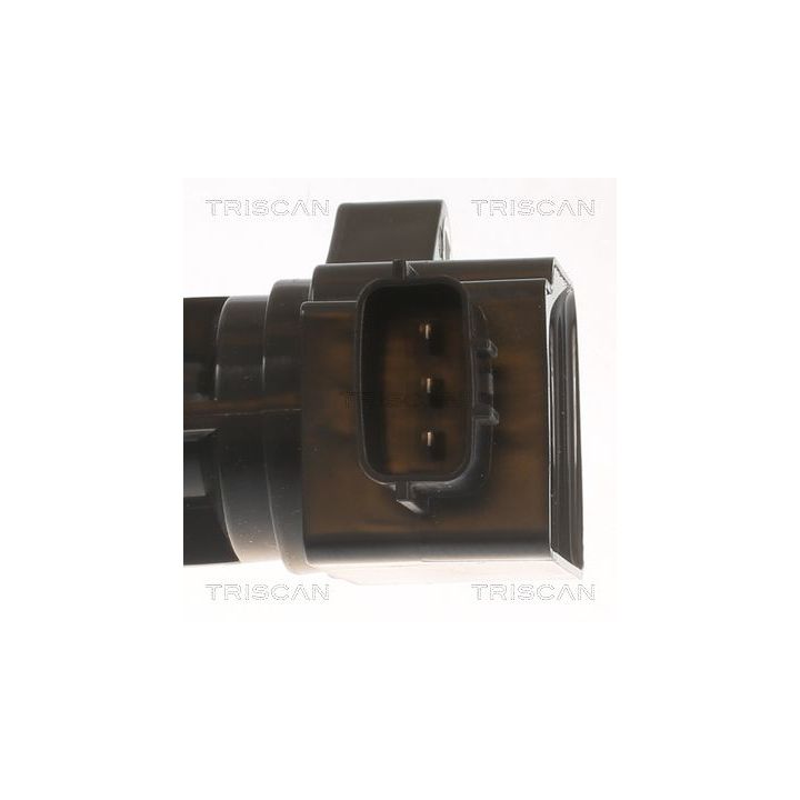 Ritė, uždegimas TRISCAN 8860 50028