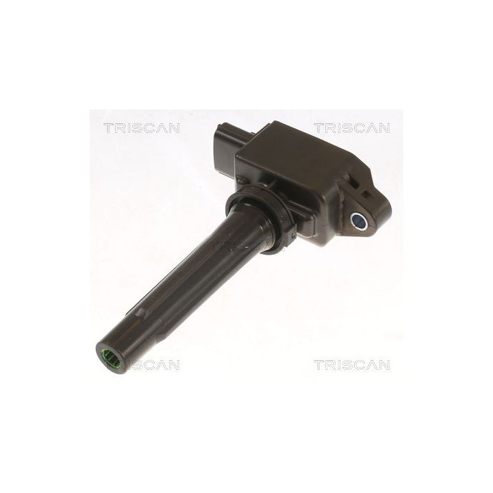 Ritė, uždegimas TRISCAN 8860 50029