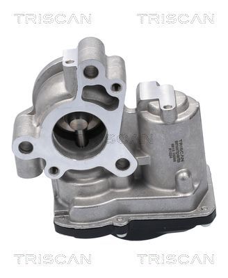 ERG vožtuvas TRISCAN 8813 10056