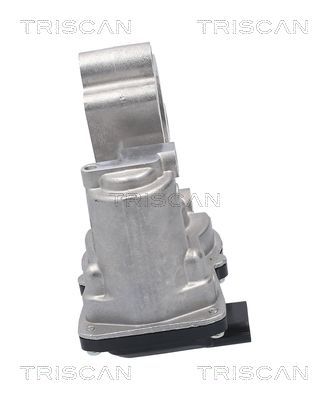 ERG vožtuvas TRISCAN 8813 10056