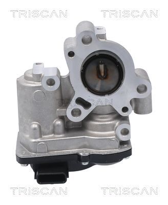 ERG vožtuvas TRISCAN 8813 10056