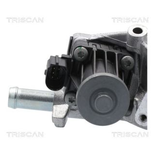 ERG vožtuvas TRISCAN 8813 10118