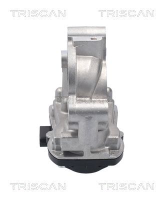 ERG vožtuvas TRISCAN 8813 10056